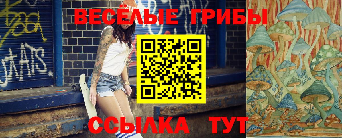 Мценск  Галлюциногенные грибы мицелий  Вход с VPN 