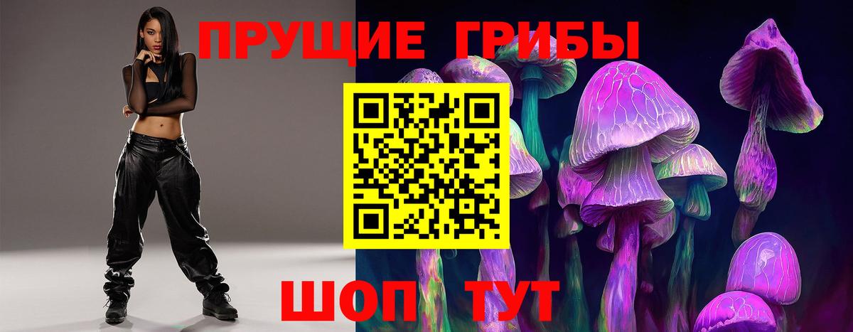 Галлюциногенные грибы Cubensis Мценск