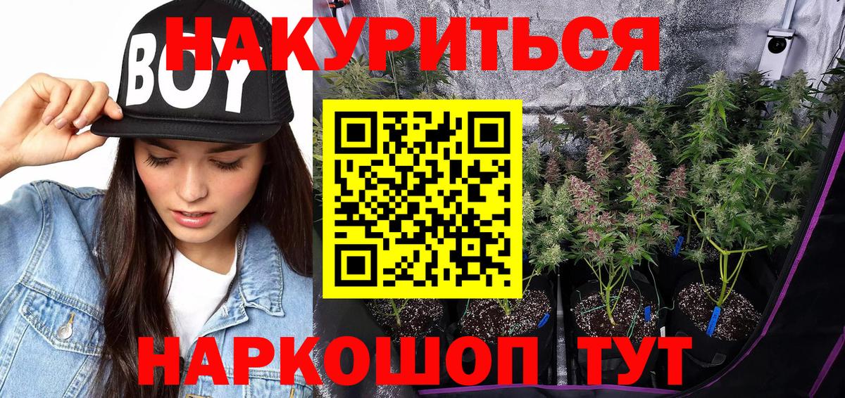 Канабис семена Мценск